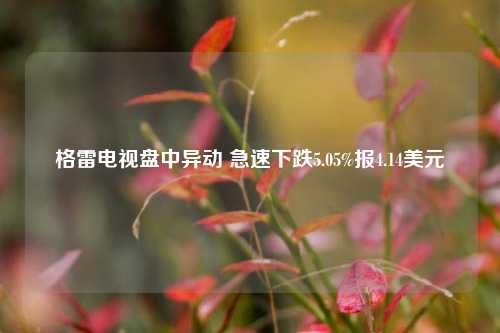 格雷电视盘中异动 急速下跌5.05%报4.14美元-第1张图片-旅游攻略网