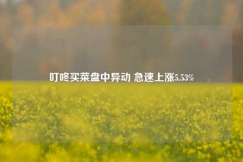 叮咚买菜盘中异动 急速上涨5.53%-第1张图片-旅游攻略网