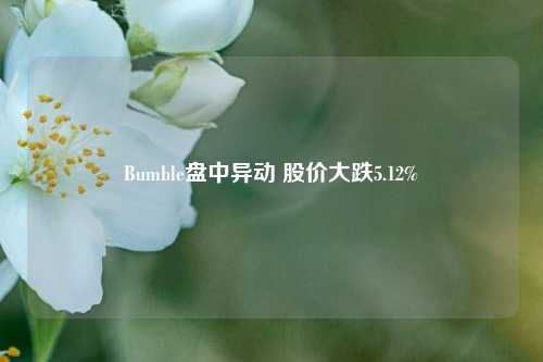 Bumble盘中异动 股价大跌5.12%-第1张图片-旅游攻略网