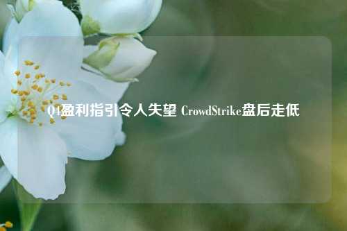 Q4盈利指引令人失望 CrowdStrike盘后走低-第1张图片-旅游攻略网