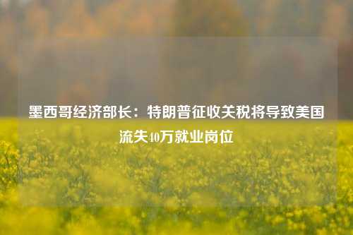 墨西哥经济部长：特朗普征收关税将导致美国流失40万就业岗位-第1张图片-旅游攻略网