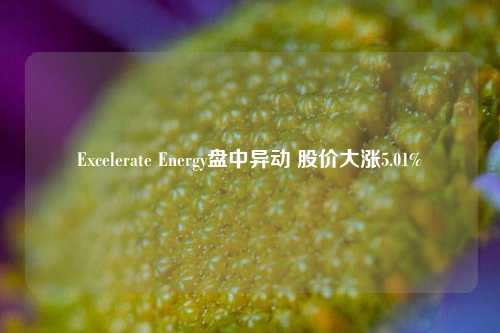 Excelerate Energy盘中异动 股价大涨5.01%-第1张图片-旅游攻略网