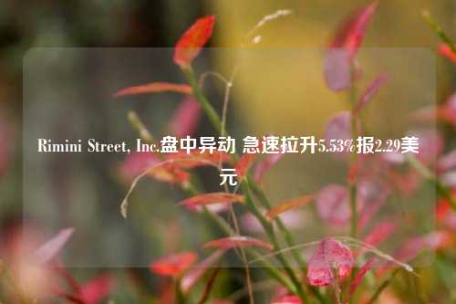 Rimini Street, Inc.盘中异动 急速拉升5.53%报2.29美元-第1张图片-旅游攻略网