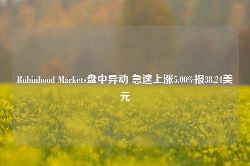 Robinhood Markets盘中异动 急速上涨5.00%报38.24美元-第1张图片-旅游攻略网