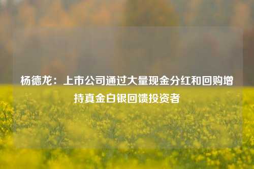 杨德龙：上市公司通过大量现金分红和回购增持真金白银回馈投资者-第1张图片-旅游攻略网