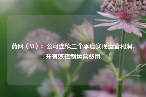 药网（YI）：公司连续三个季度实现运营利润，并有效控制运营费用-第1张图片-旅游攻略网