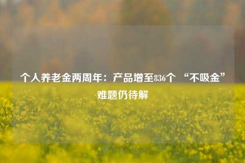 个人养老金两周年：产品增至836个 “不吸金”难题仍待解-第1张图片-旅游攻略网