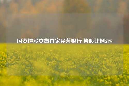 国资控股安徽首家民营银行 持股比例51%-第1张图片-旅游攻略网