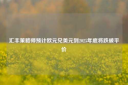 汇丰策略师预计欧元兑美元到2025年底将跌破平价-第1张图片-旅游攻略网