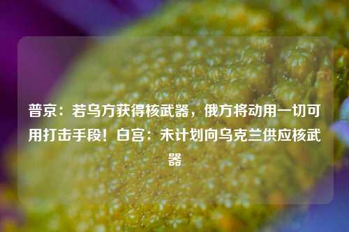 普京：若乌方获得核武器，俄方将动用一切可用打击手段！白宫：未计划向乌克兰供应核武器-第1张图片-旅游攻略网