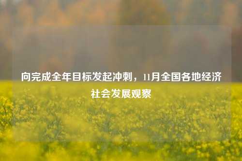 向完成全年目标发起冲刺，11月全国各地经济社会发展观察-第1张图片-旅游攻略网