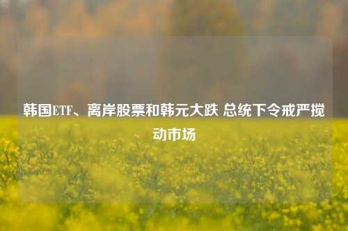 韩国ETF、离岸股票和韩元大跌 总统下令戒严搅动市场-第1张图片-旅游攻略网